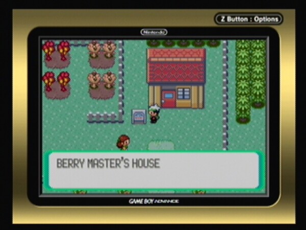 16: The Road to Fortree City - Pokemon Emerald Guide and Walkthrough
