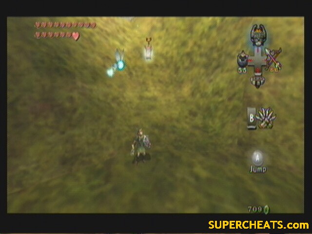 Poe Souls Guide - The Legend of Zelda: Twilight Princess Guide and ...