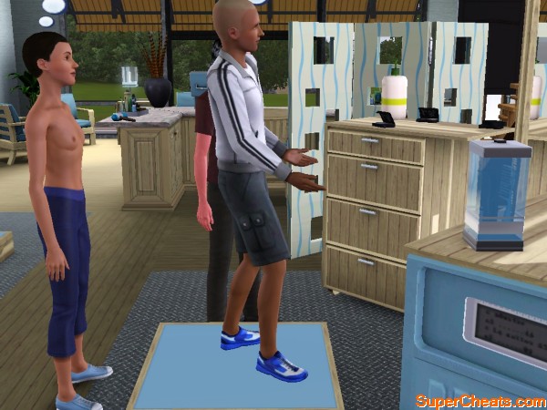 Stylist Career (Ambitions) - The Sims 3 Ambitions Guide and Walkthrough