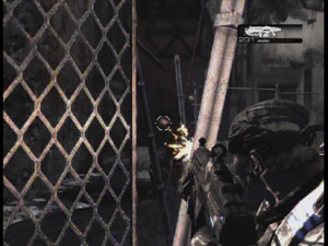through the fence